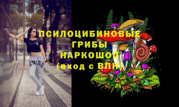 винт Пестово