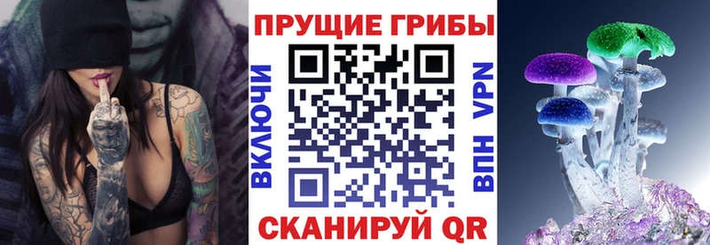 Купить  Цимлянск  Галлюциногенные грибы Cubensis 